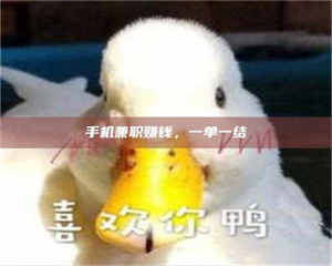 江山手机兼职赚钱，一单一结 第1张